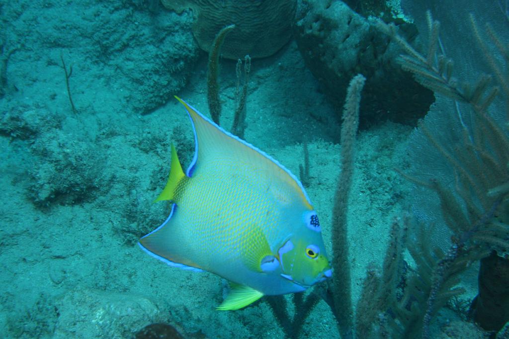 2008-05-19 17-28-08 H.JPG